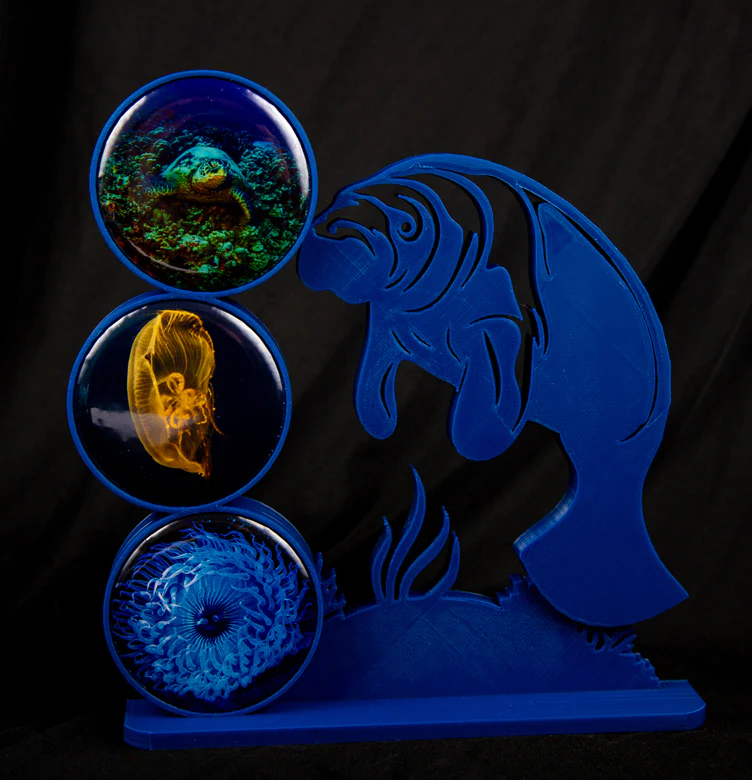 3d Printed Frames — 3